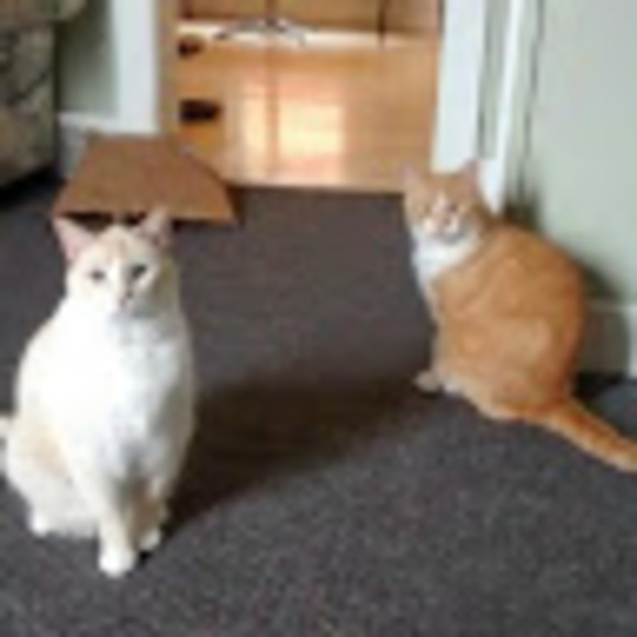 Meet your Posher, James - Picture 1 of 1